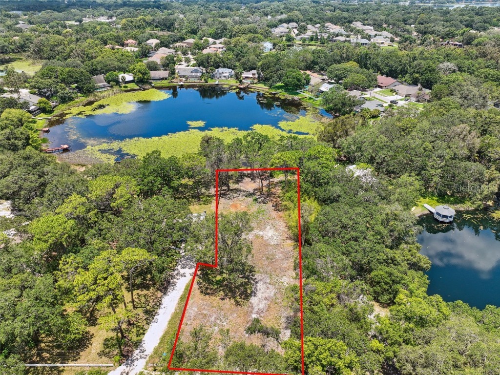 13818 N Edison Avenue Tampa FL 33613 T3425246 image1