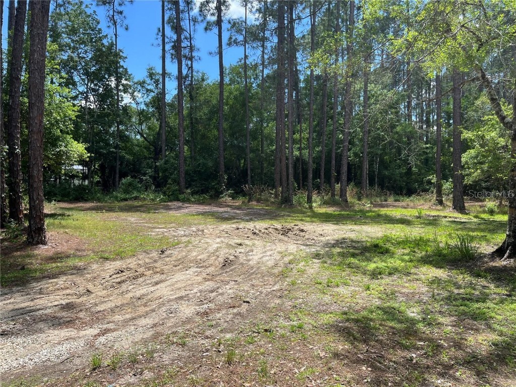 1382 Berrybush Street Bunnell FL 32110 FC301601 image1