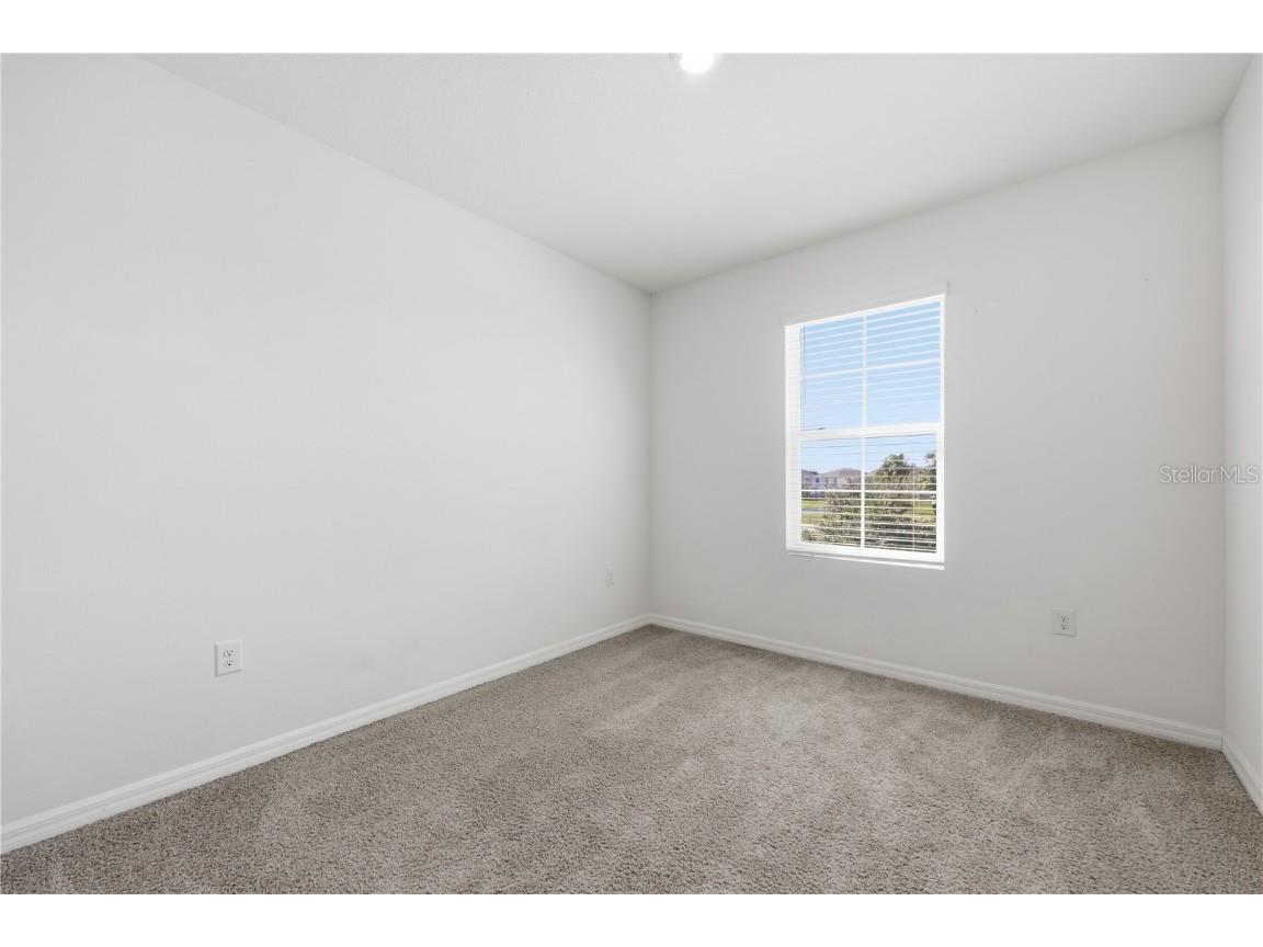 1382 Crescent Hoop Way Wesley Chapel FL 33543 TB8409011 image22