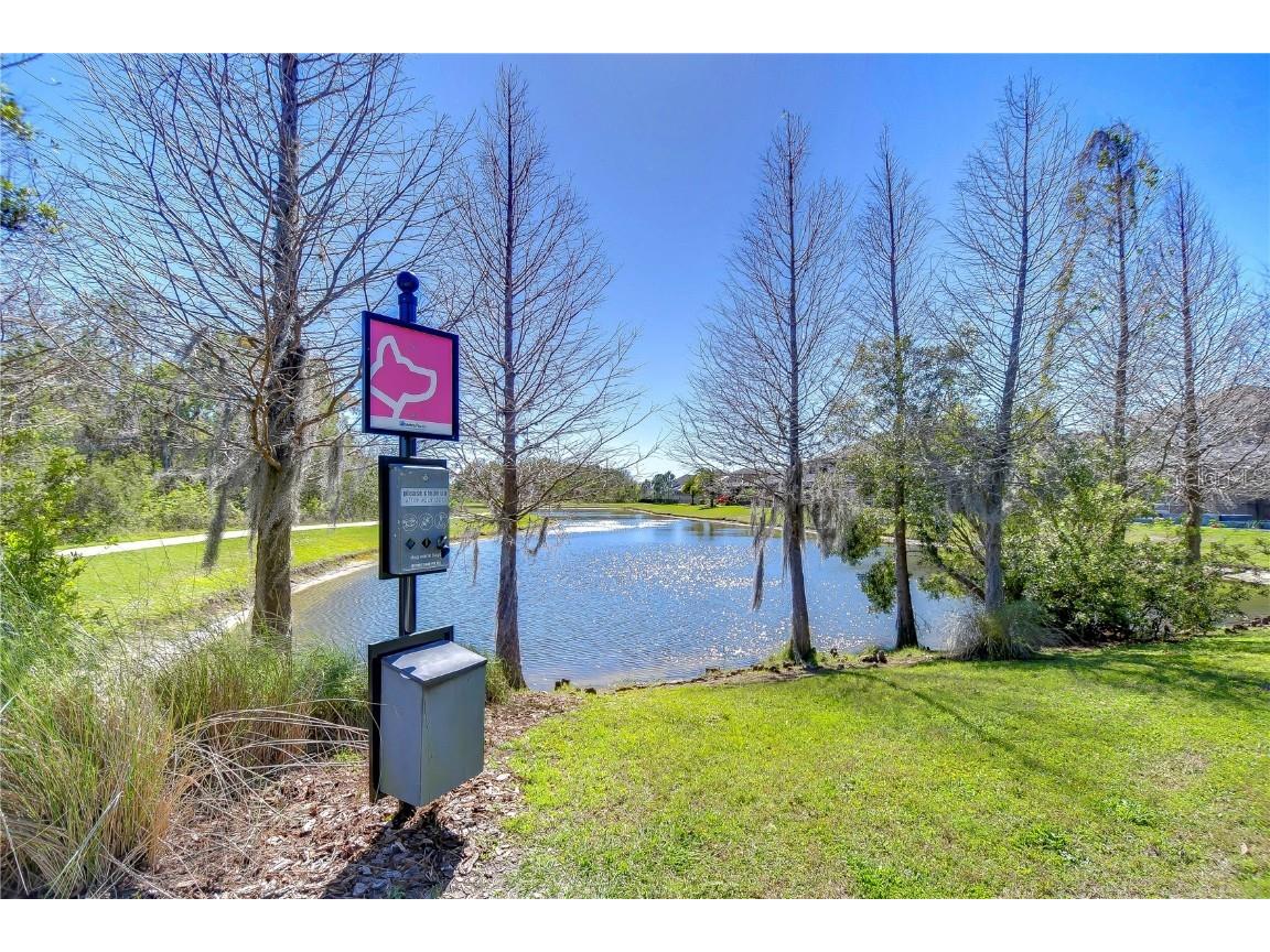 1382 Crescent Hoop Way Wesley Chapel FL 33543 TB8409011 image34