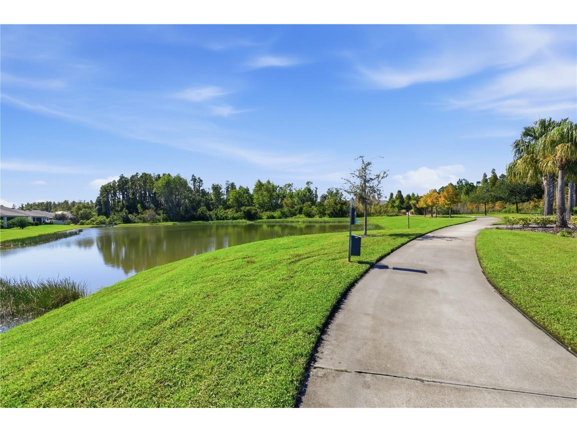 1382 Crescent Hoop Way Wesley Chapel FL 33543 TB8409011 image35