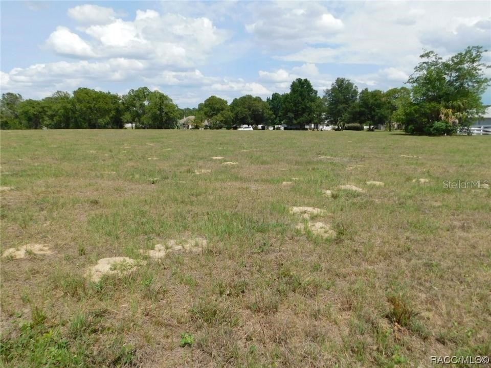 1382 N Hambletonian Drive Hernando FL 34442 J965031 image1