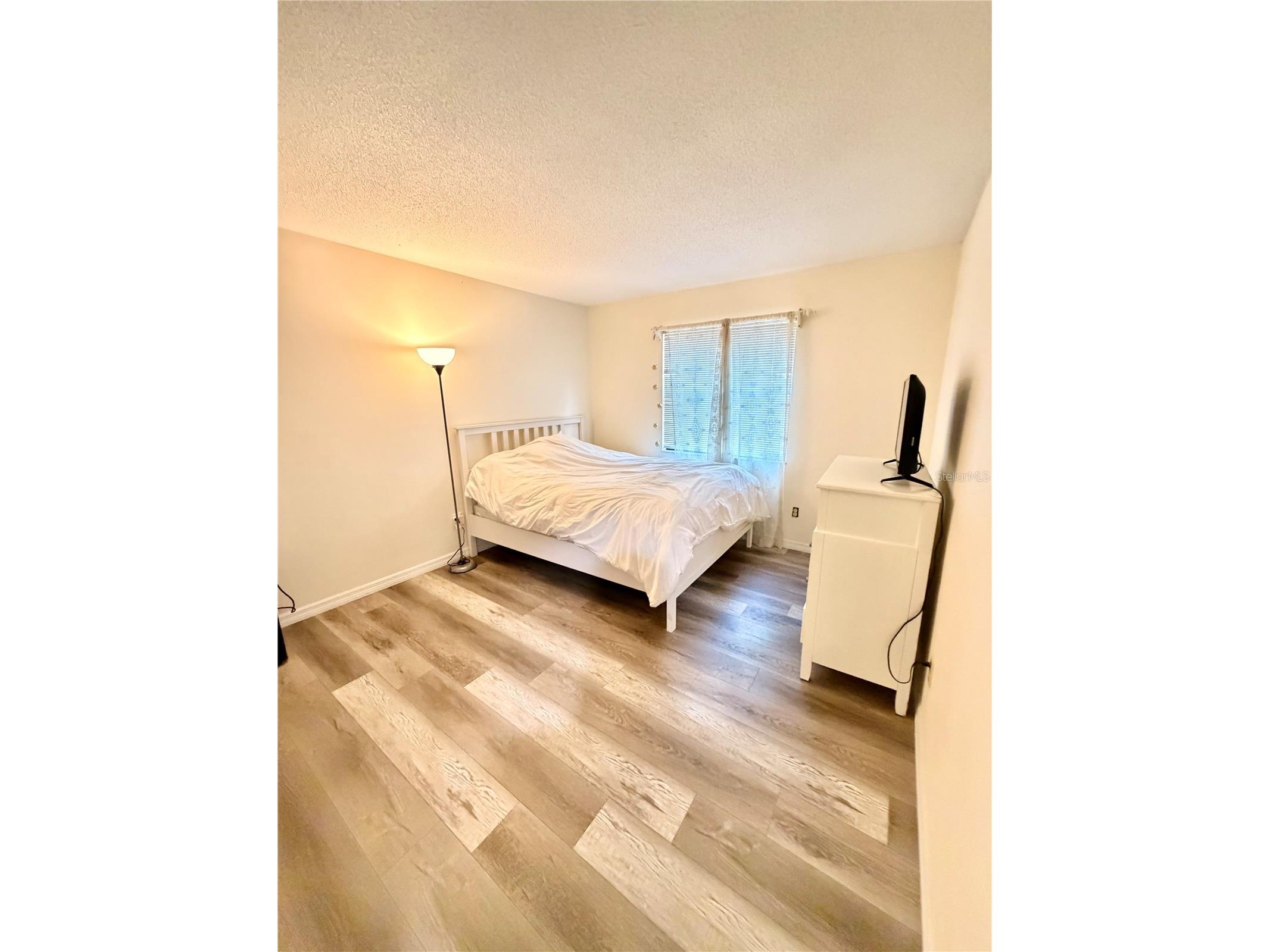 1382 Sutton Place Drive Palm Harbor FL 34683 W7886792 image19
