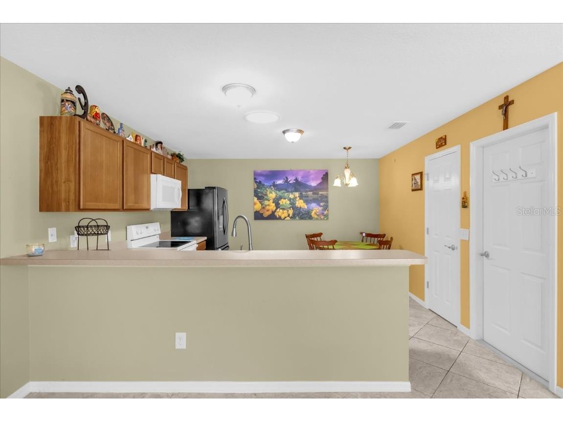 1382 Zest Avenue The Villages FL 32163 G5100296 image14