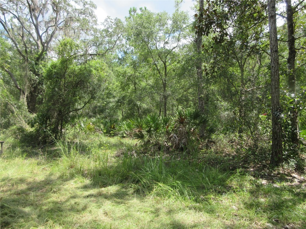 13820 NE 46th Street Silver Springs FL 34488 OM709179 image10