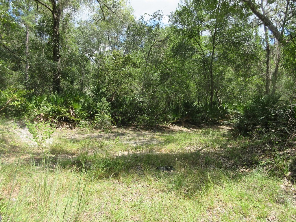 13820 NE 46th Street Silver Springs FL 34488 OM709179 image11