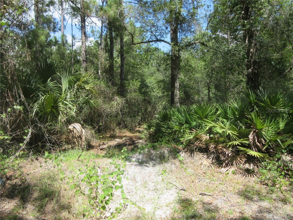 13820 NE 46th Street Silver Springs FL 34488 OM709179 image12