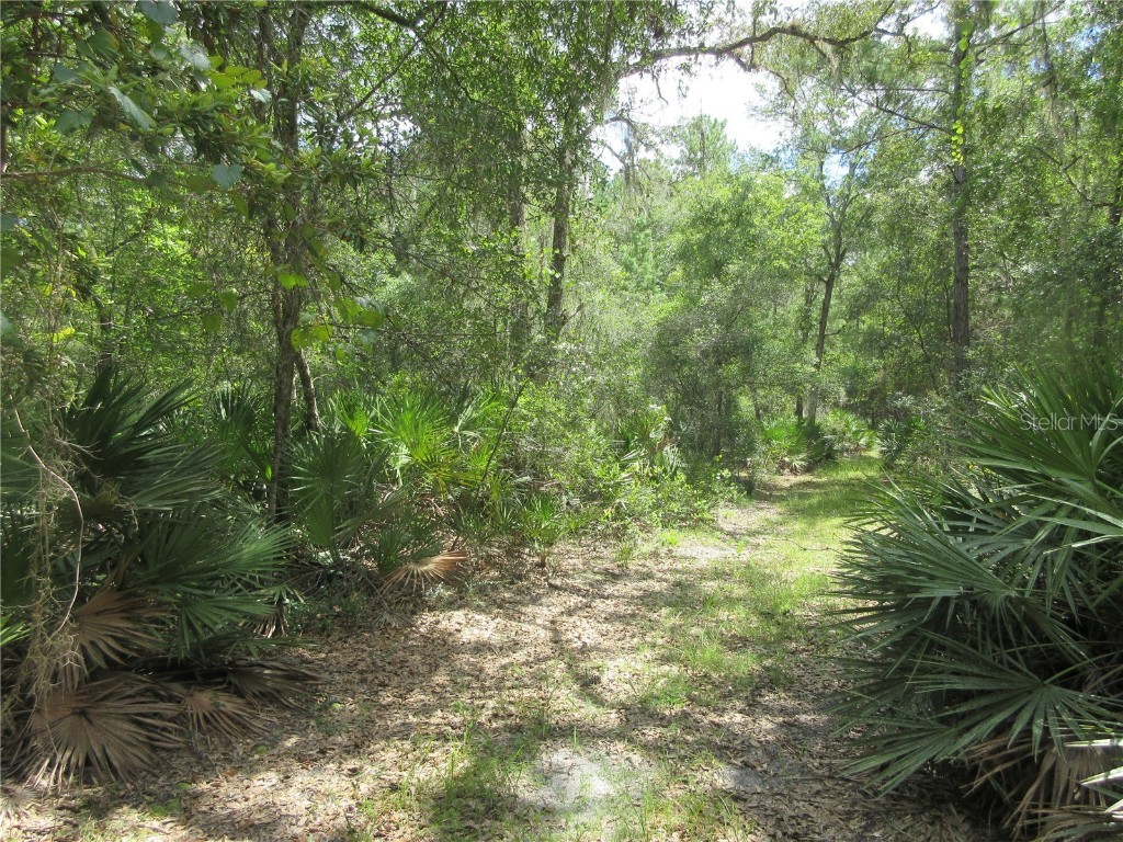 13820 NE 46th Street Silver Springs FL 34488 OM709179 image13