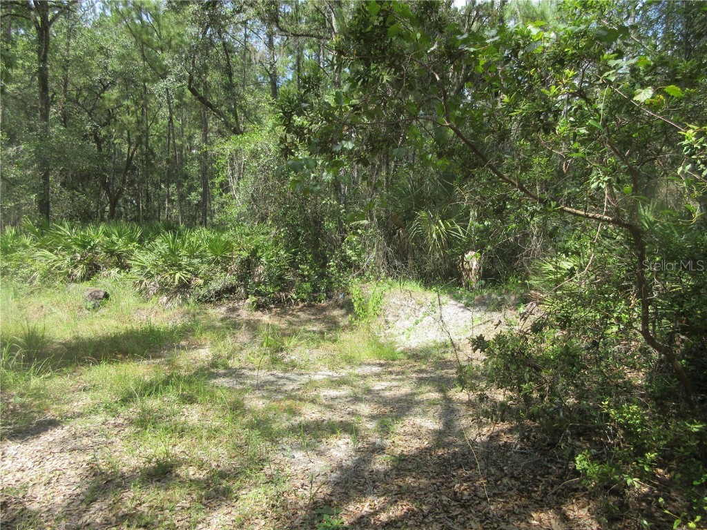 13820 NE 46th Street Silver Springs FL 34488 OM709179 image15