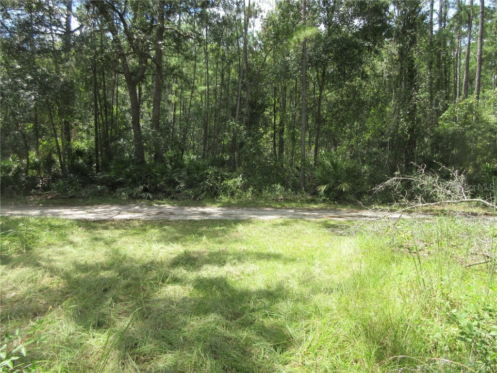 13820 NE 46th Street Silver Springs FL 34488 OM709179 image16