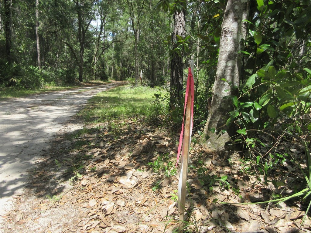 13820 NE 46th Street Silver Springs FL 34488 OM709179 image17