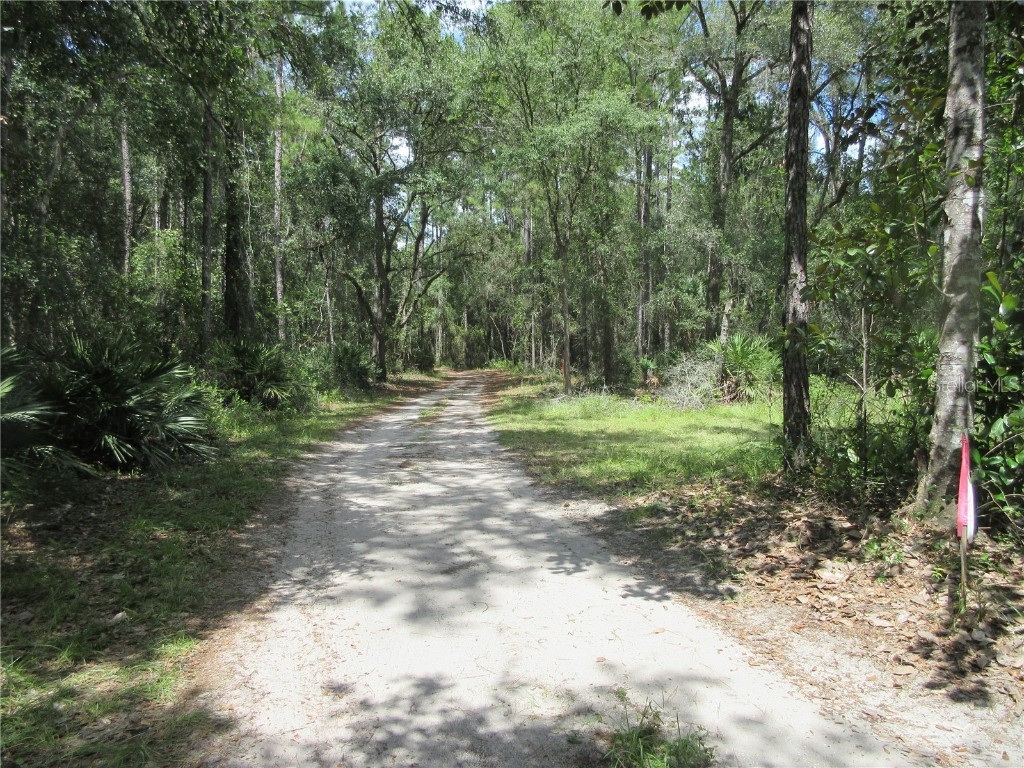 13820 NE 46th Street Silver Springs FL 34488 OM709179 image18