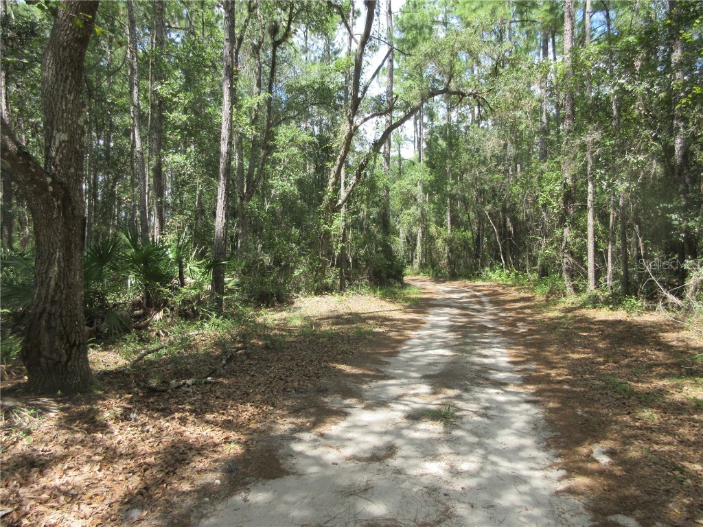 13820 NE 46th Street Silver Springs FL 34488 OM709179 image19