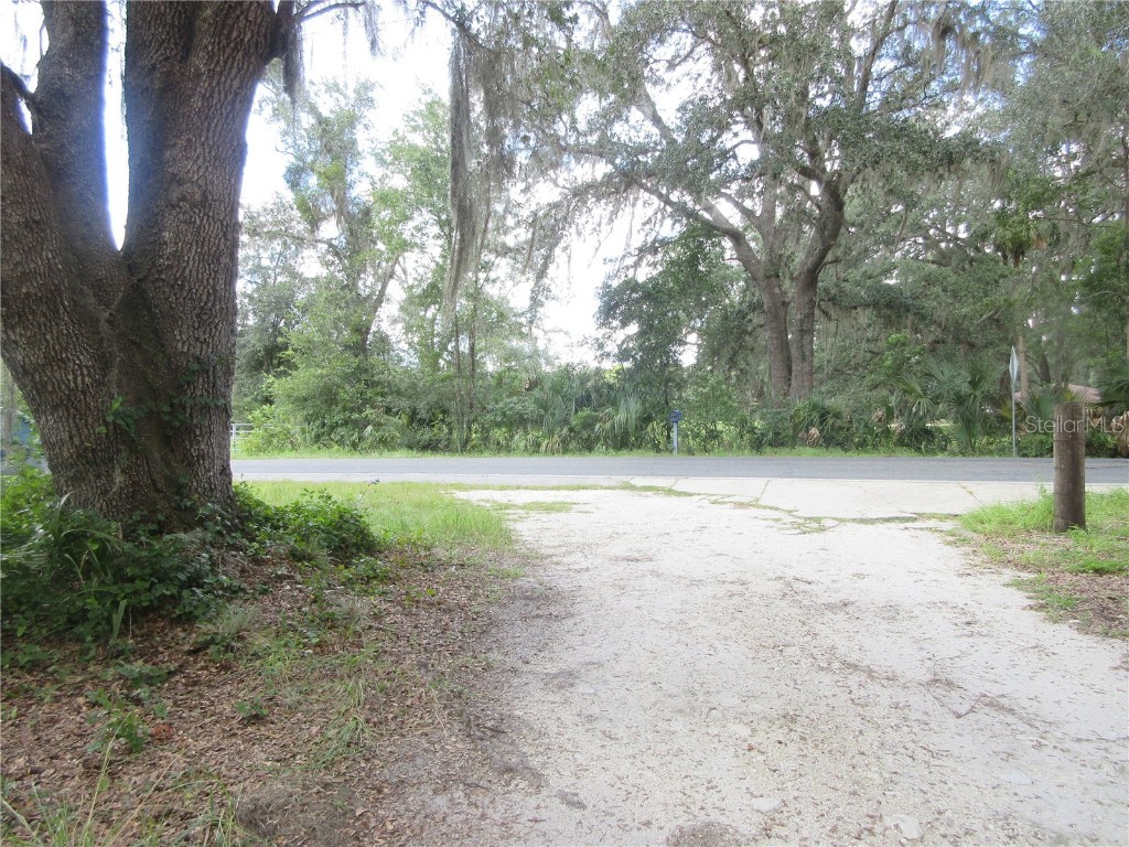 13820 NE 46th Street Silver Springs FL 34488 OM709179 image2