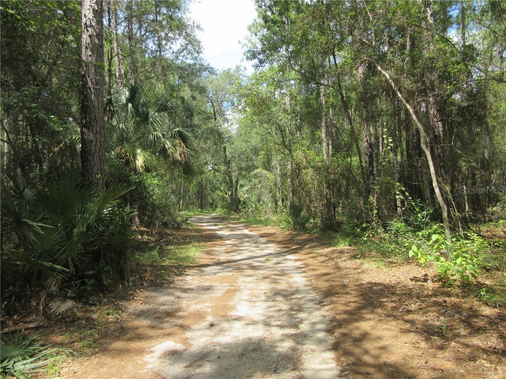 13820 NE 46th Street Silver Springs FL 34488 OM709179 image20