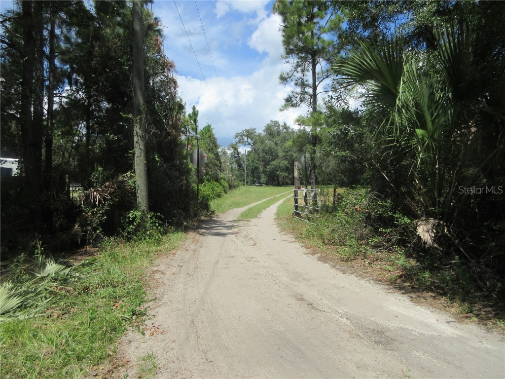 13820 NE 46th Street Silver Springs FL 34488 OM709179 image4