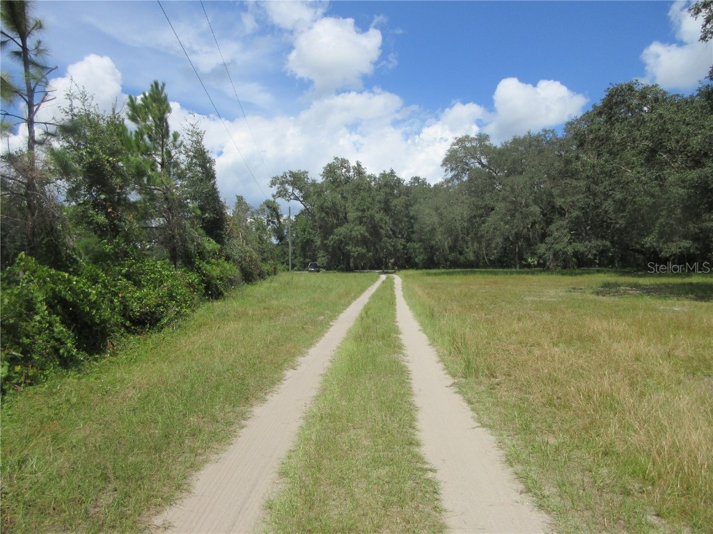 13820 NE 46th Street Silver Springs FL 34488 OM709179 image5