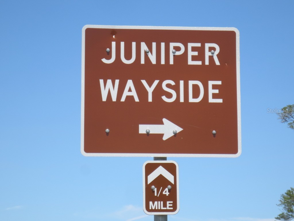 13820 NE 46th Street Silver Springs FL 34488 OM709179 image51