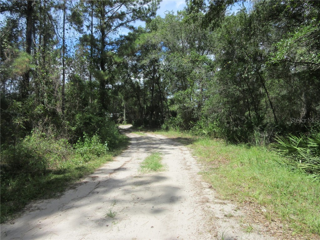 13820 NE 46th Street Silver Springs FL 34488 OM709179 image6