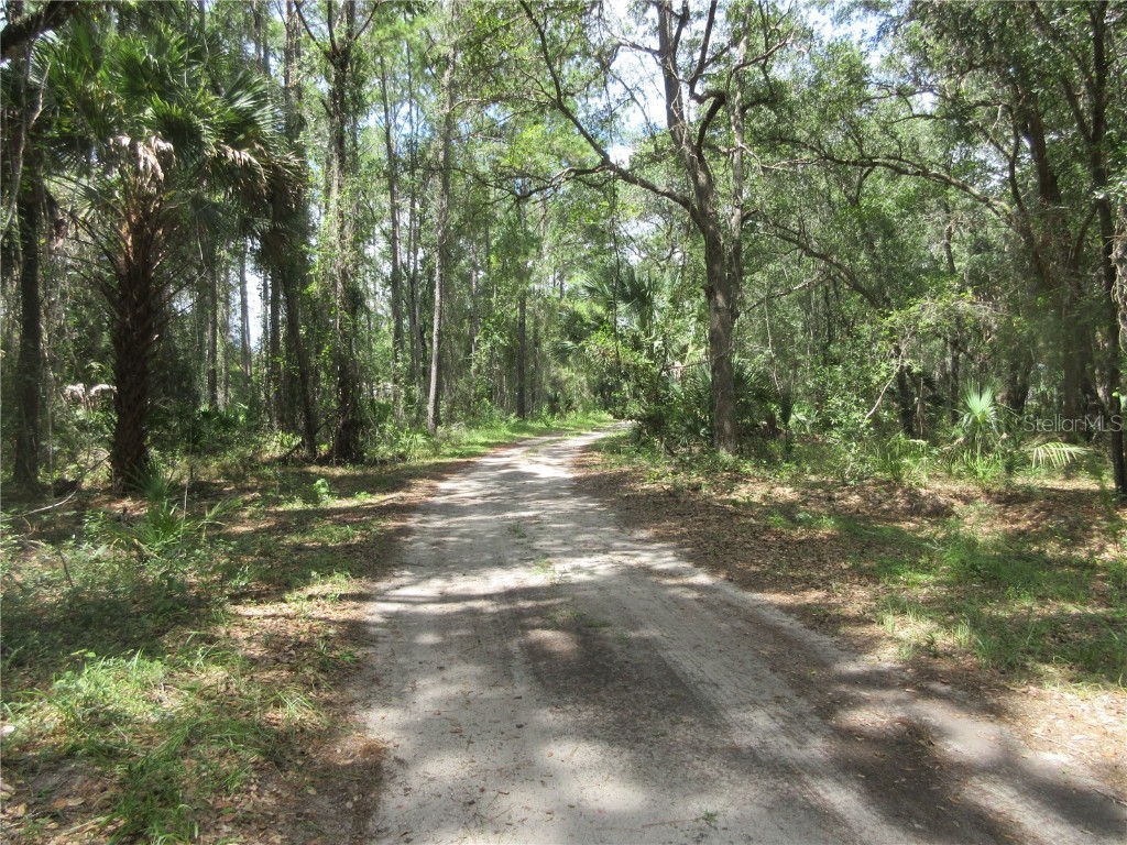 13820 NE 46th Street Silver Springs FL 34488 OM709179 image7