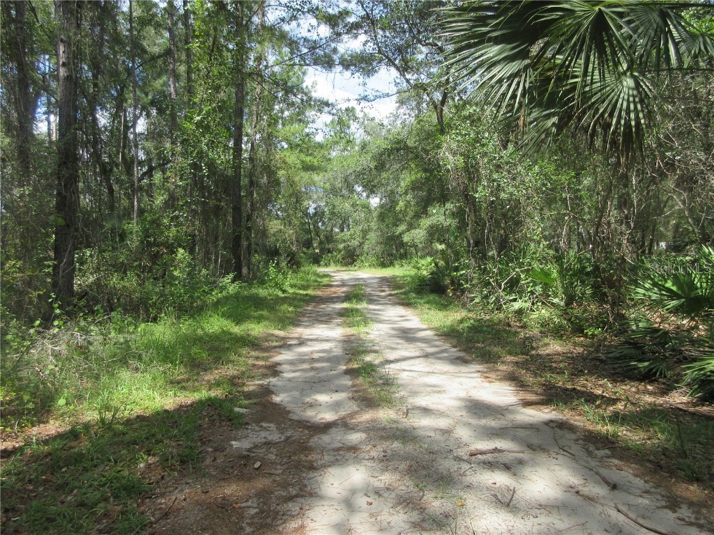 13820 NE 46th Street Silver Springs FL 34488 OM709179 image8