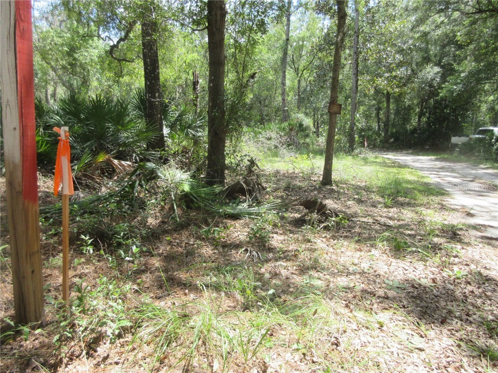 13820 NE 46th Street Silver Springs FL 34488 OM709179 image9