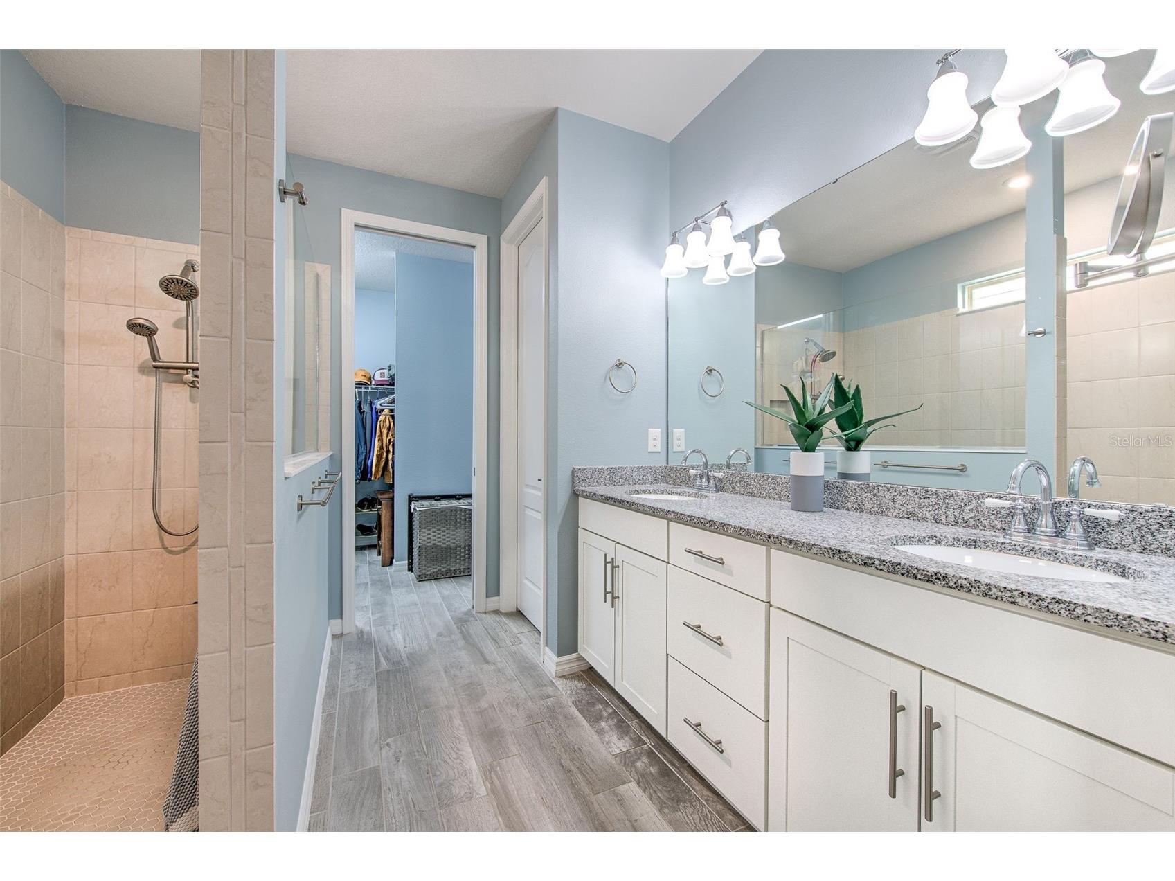 13821 Tonya Anne Drive Riverview FL 33579 TB8491191 image19