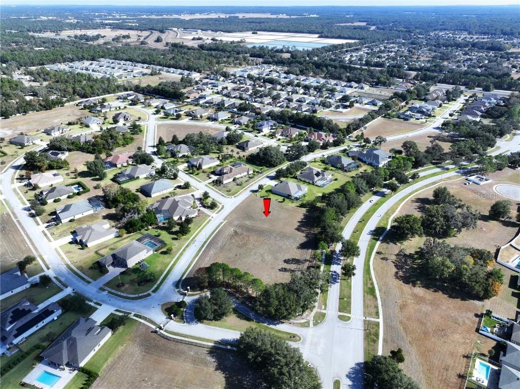 13822 Bassingthorpe Drive Spring Hill FL 34609 TB8449137 image5