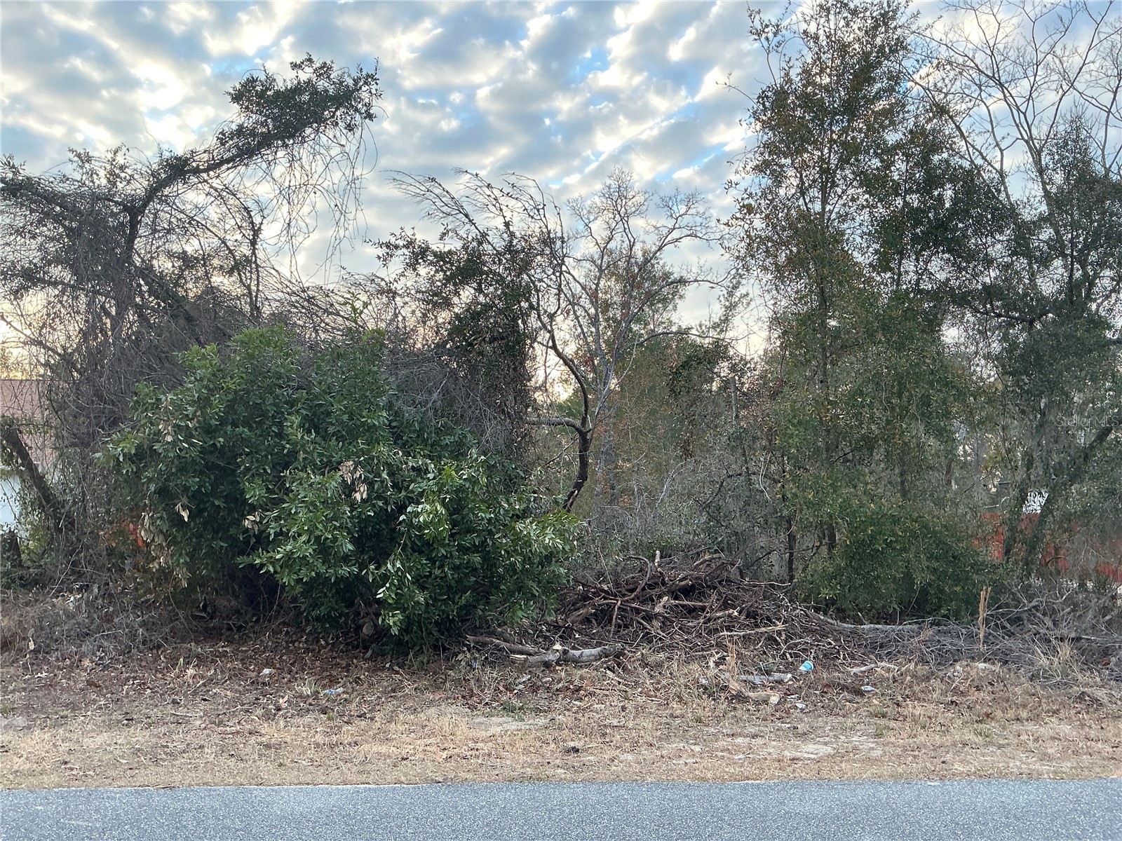 13823 SW 43rd Circle Ocala FL 34473 OM720586 image1