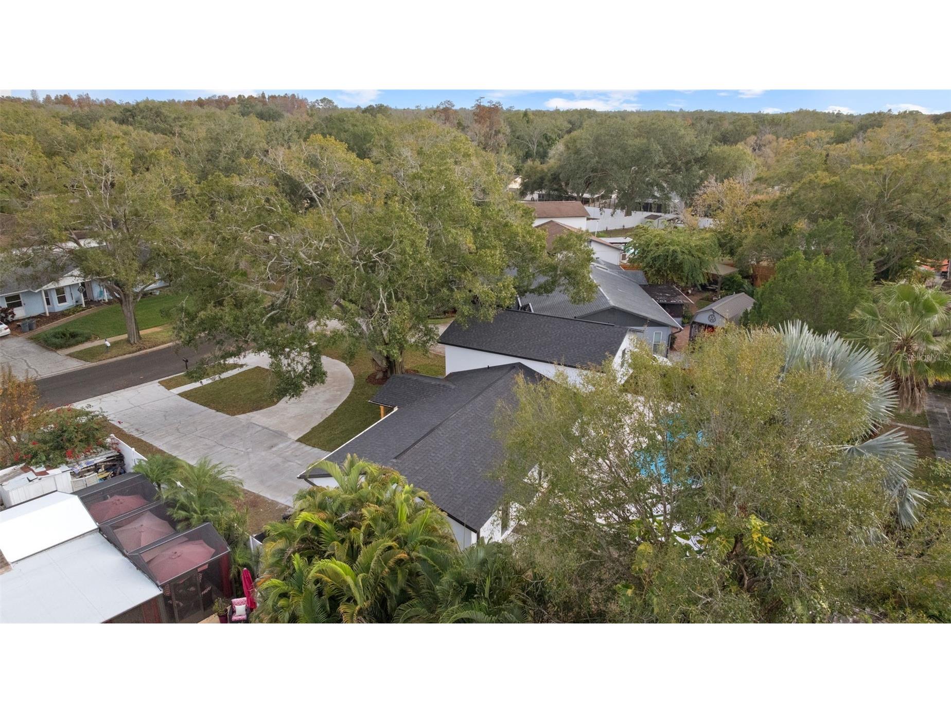 13824 Cherry Brook Lane Tampa FL 33618 TB8462880 image53