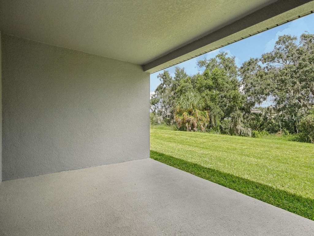13824 Richland Gulf Circle Parrish FL 34219 O6323627 image43