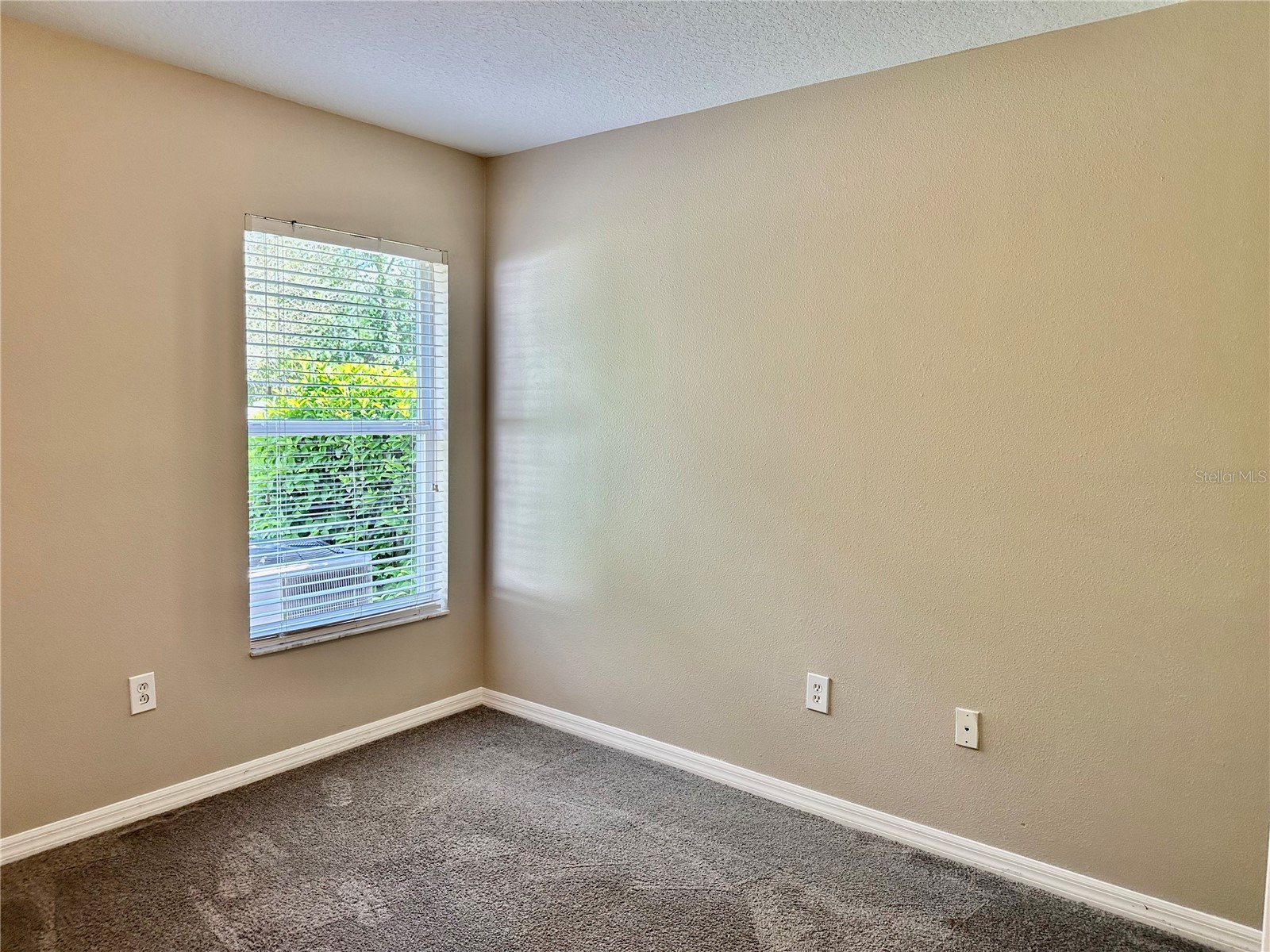 13824 Royston Bend Hudson FL 34669 W7884546 image25