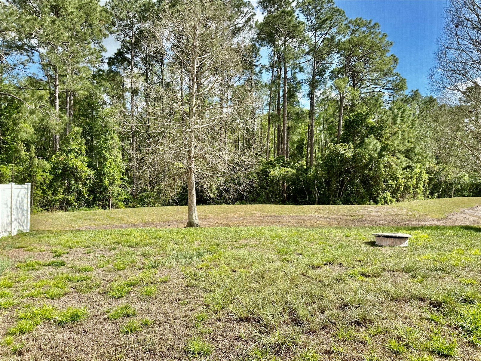 13824 Royston Bend Hudson FL 34669 W7884546 image53