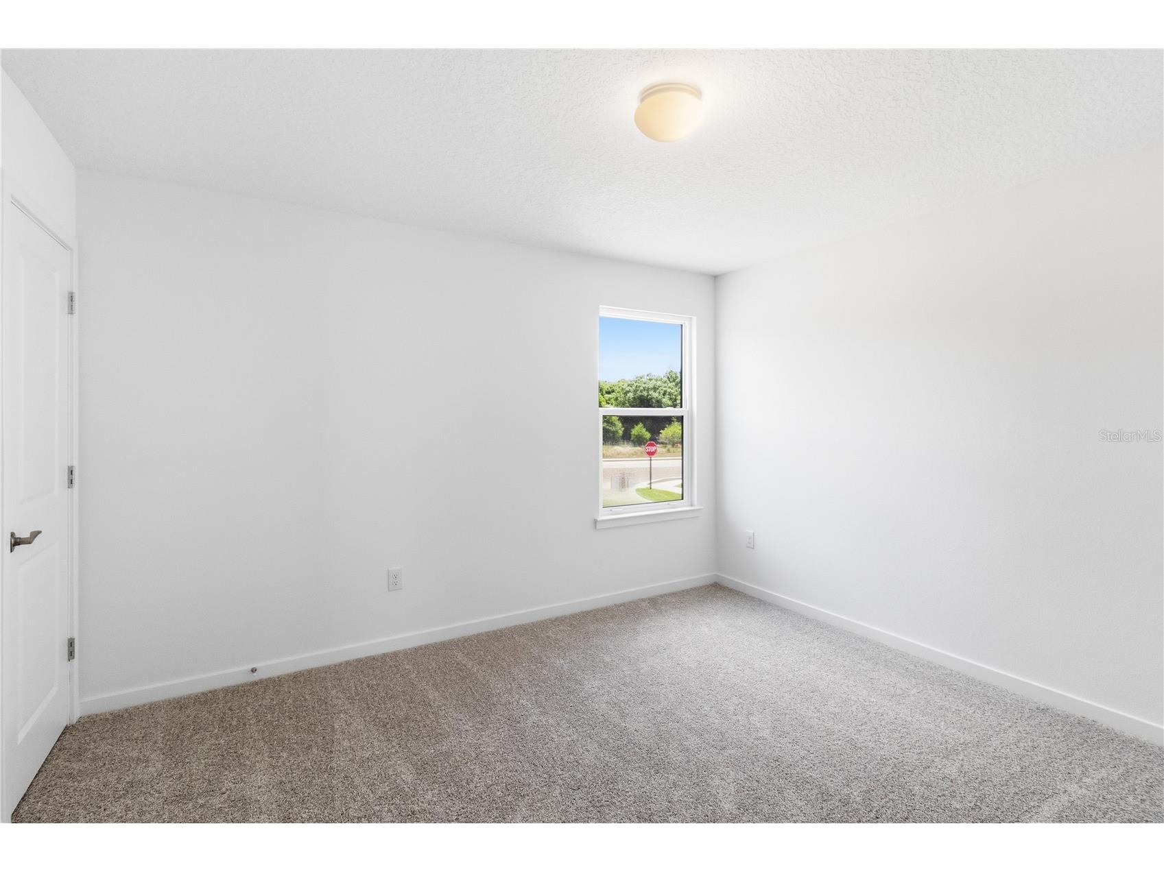 13824 Sunlight Meadow Drive Riverview FL 33578 A4692595 image37