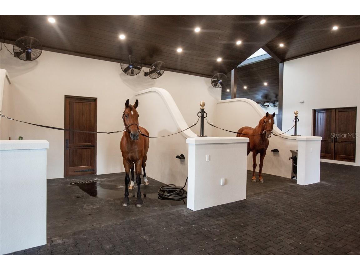 13825 Bilsdale Court Myakka City FL 34251 A4676962 image11