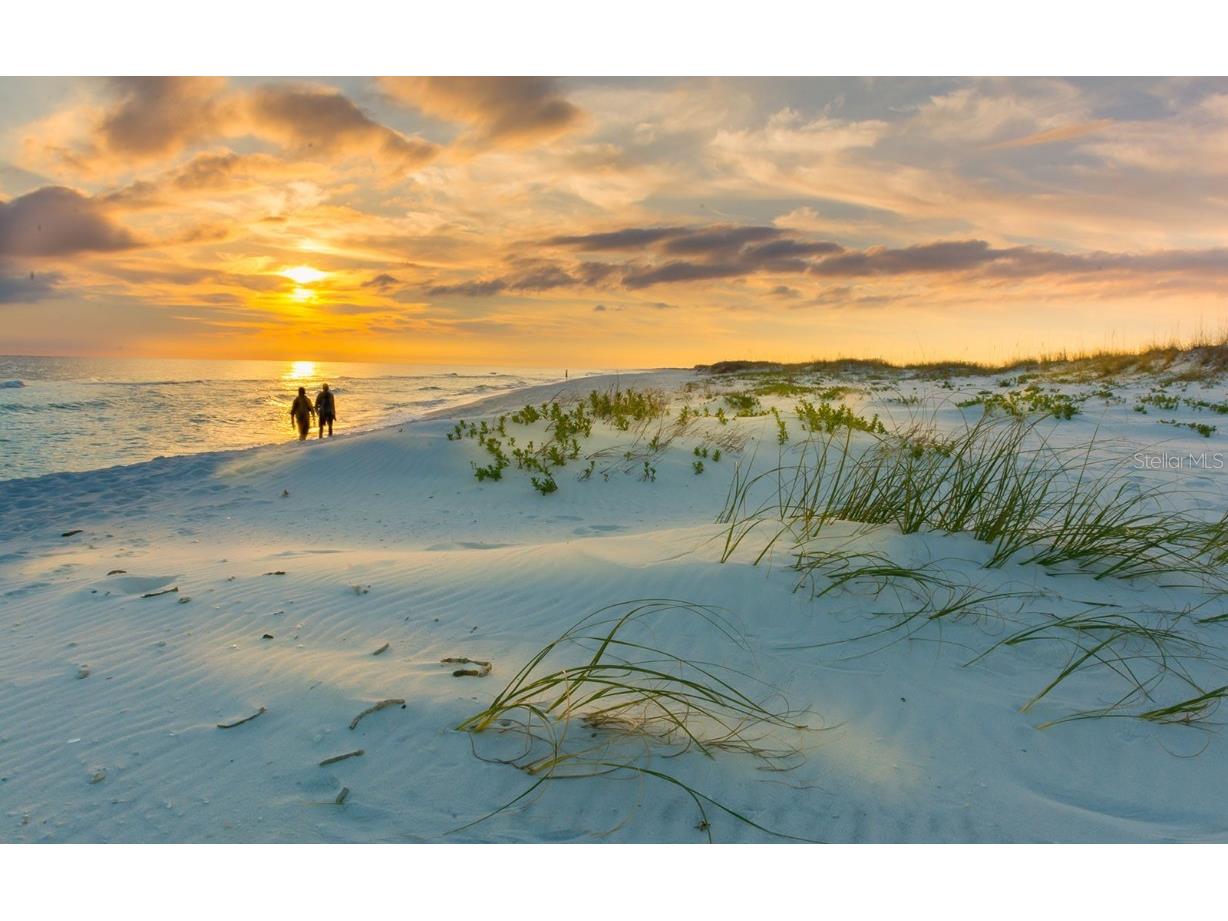 13825 Bilsdale Court Myakka City FL 34251 A4676962 image18