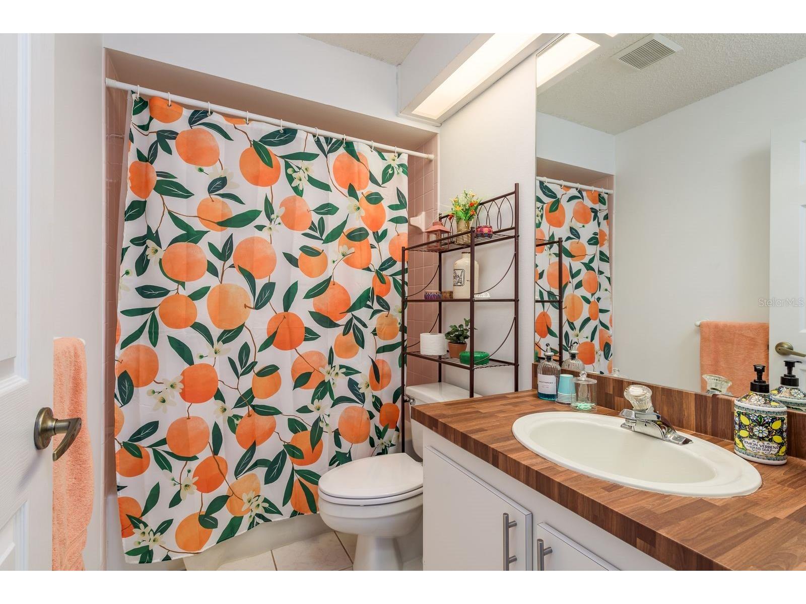 13825 Leroux Drive Hudson FL 34669 TB8486706 image31