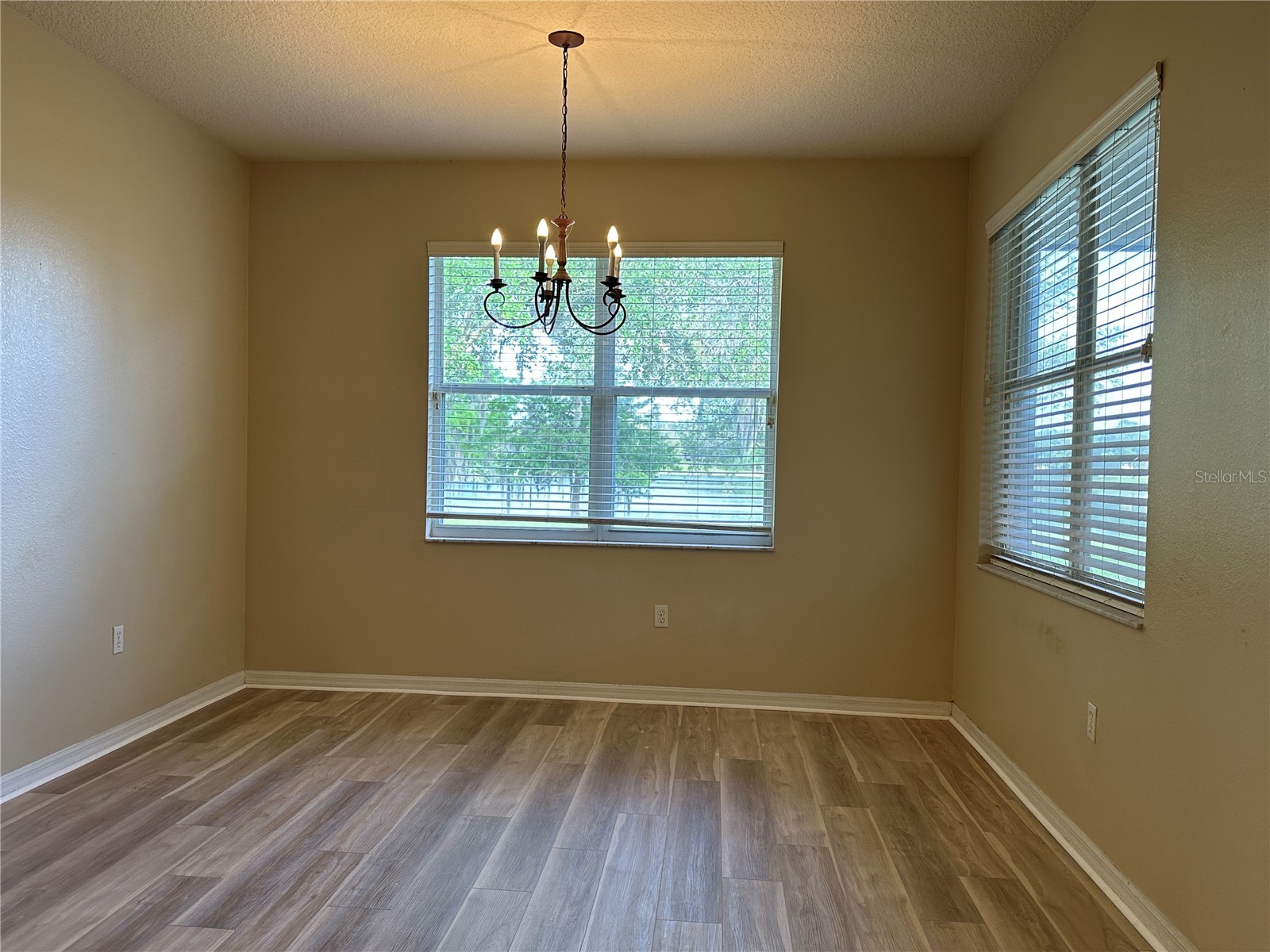 13826 Amelia Pond Drive Windermere FL 34786 O6403795 image13