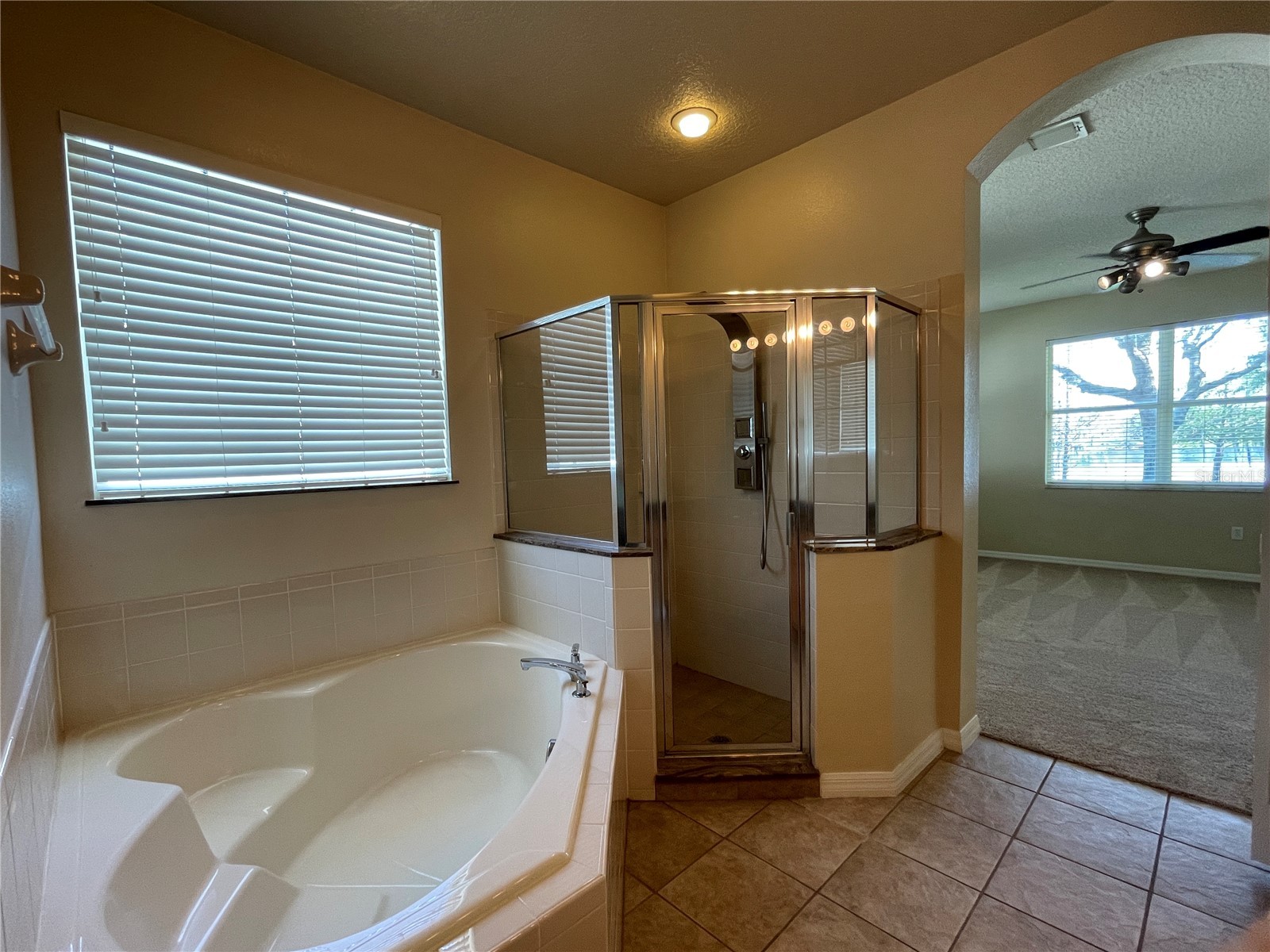 13826 Amelia Pond Drive Windermere FL 34786 O6403795 image14