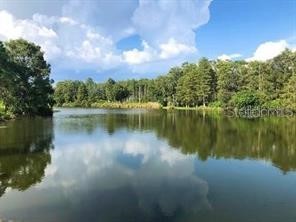 13827 Fairway Island Drive #1228 Orlando FL 32837 O6408233 image32