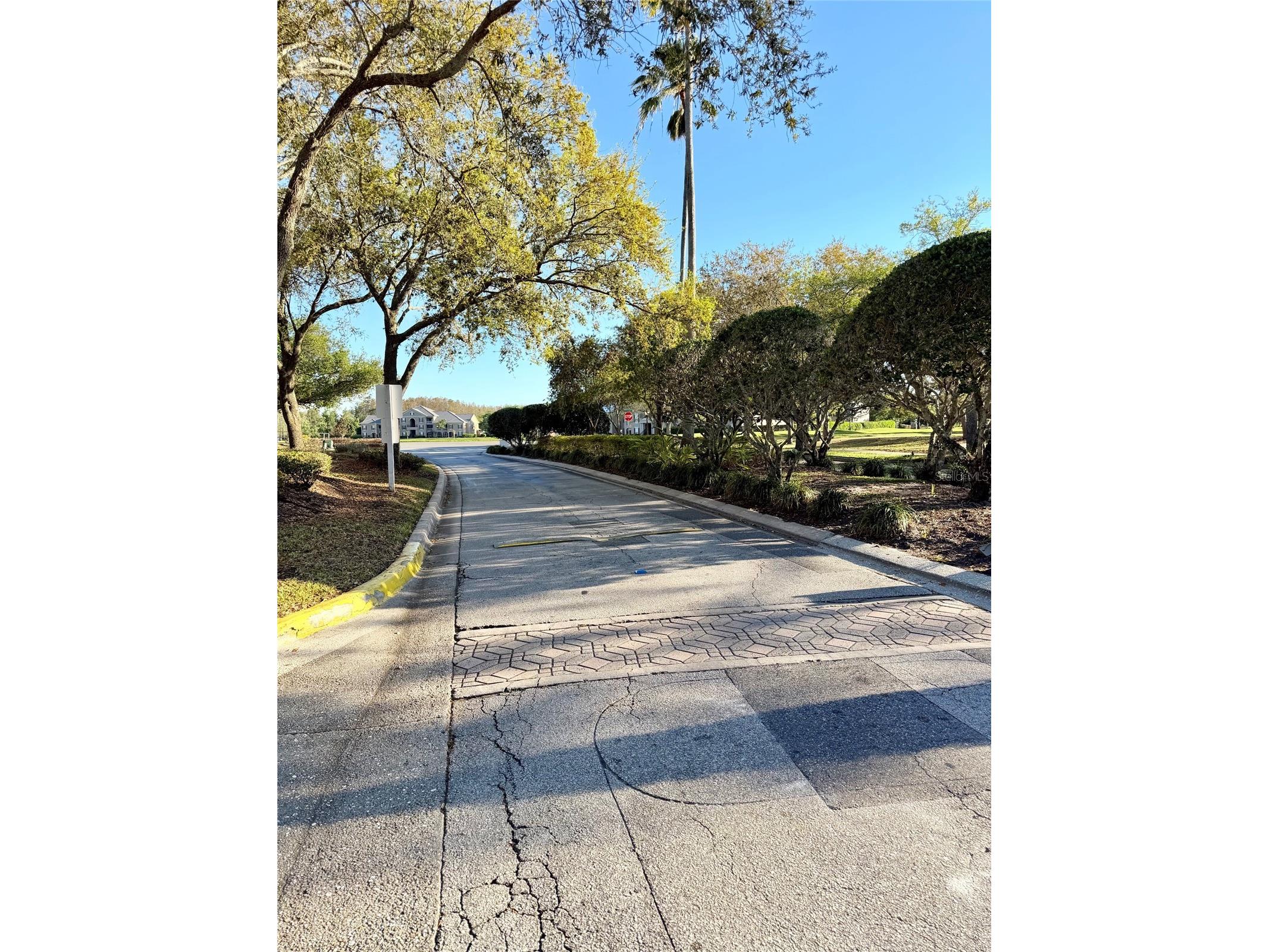 13827 Fairway Island Drive #1228 Orlando FL 32837 O6408233 image35