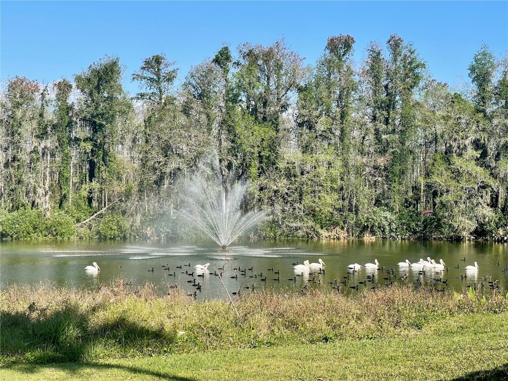 13827 Fairway Island Drive #1232 Orlando FL 32837 O6287943 image9