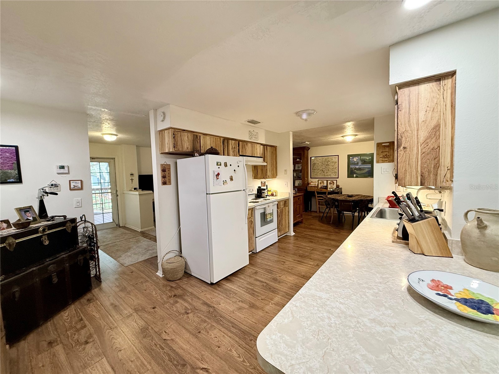 13828 Friendship Lane Odessa FL 33556 TB8515104 image12