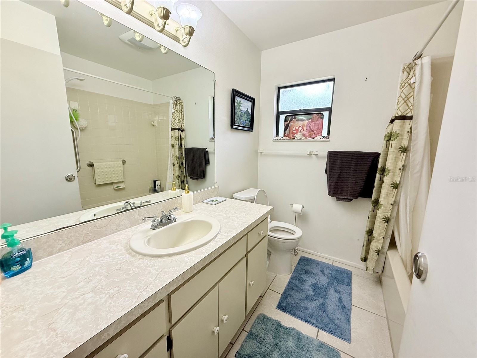 13828 Friendship Lane Odessa FL 33556 TB8515104 image14