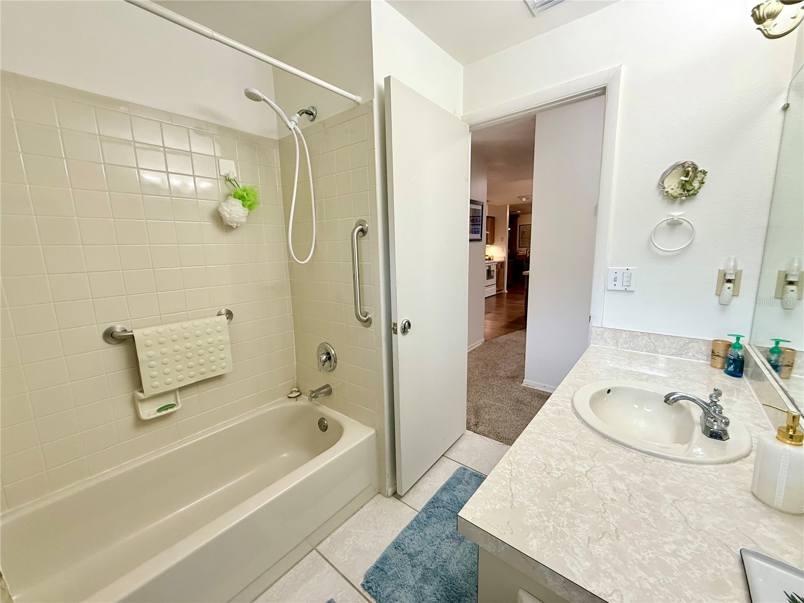 13828 Friendship Lane Odessa FL 33556 TB8515104 image15