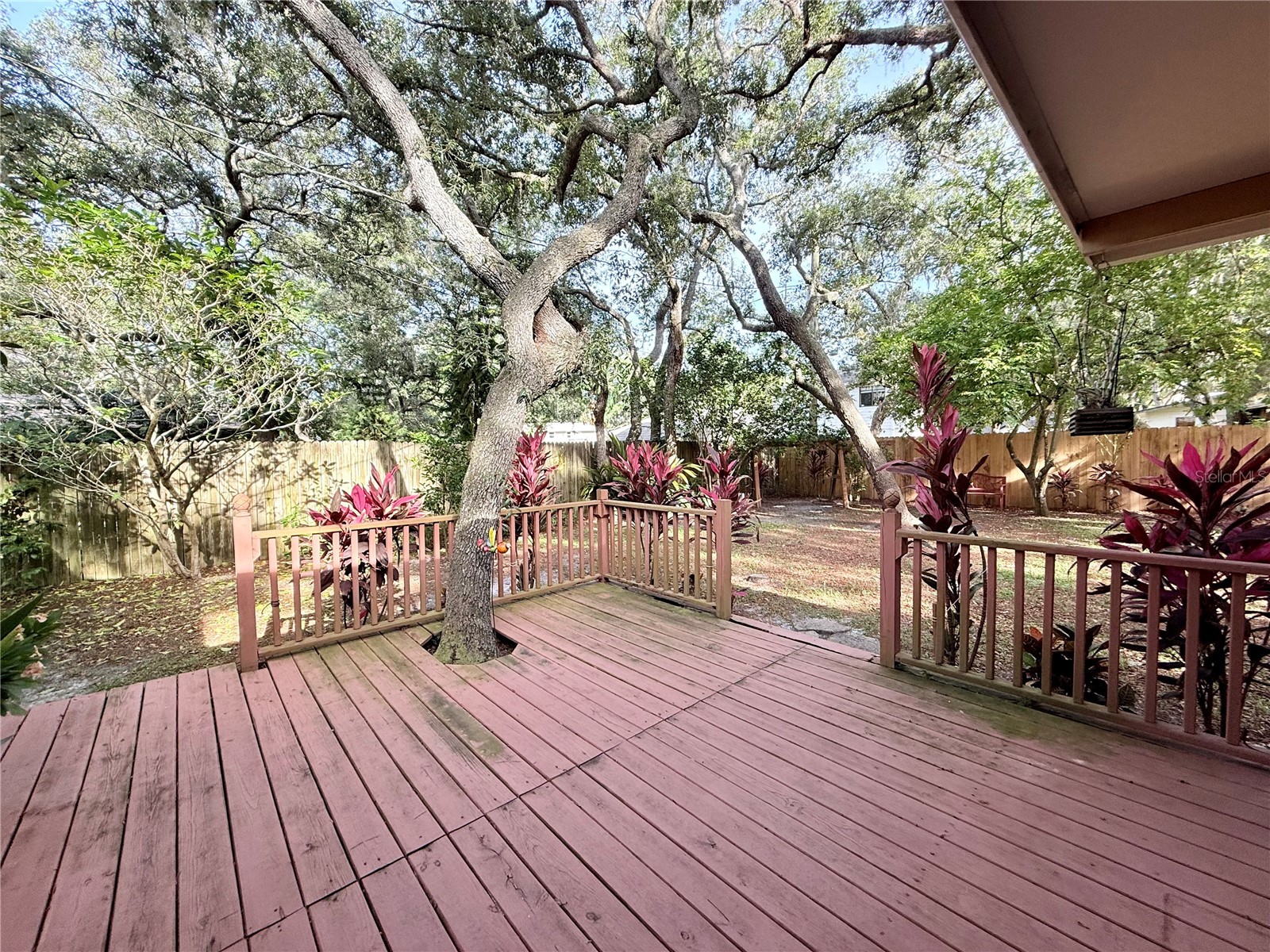 13828 Friendship Lane Odessa FL 33556 TB8515104 image20