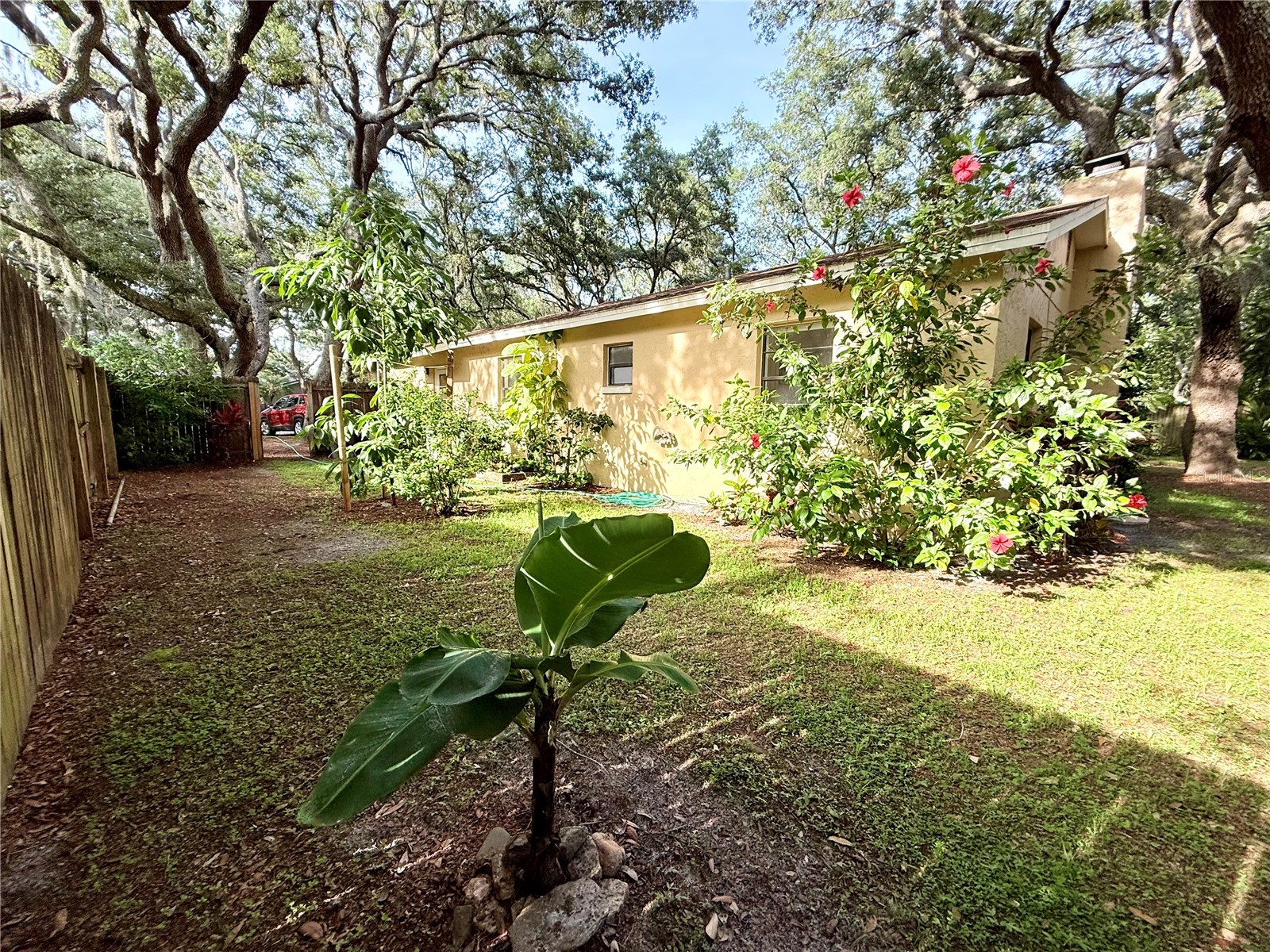 13828 Friendship Lane Odessa FL 33556 TB8515104 image25