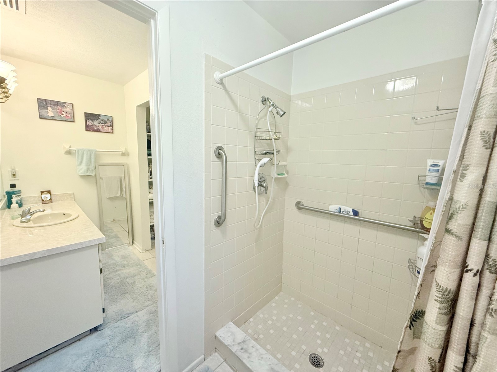 13828 Friendship Lane Odessa FL 33556 TB8515104 image32