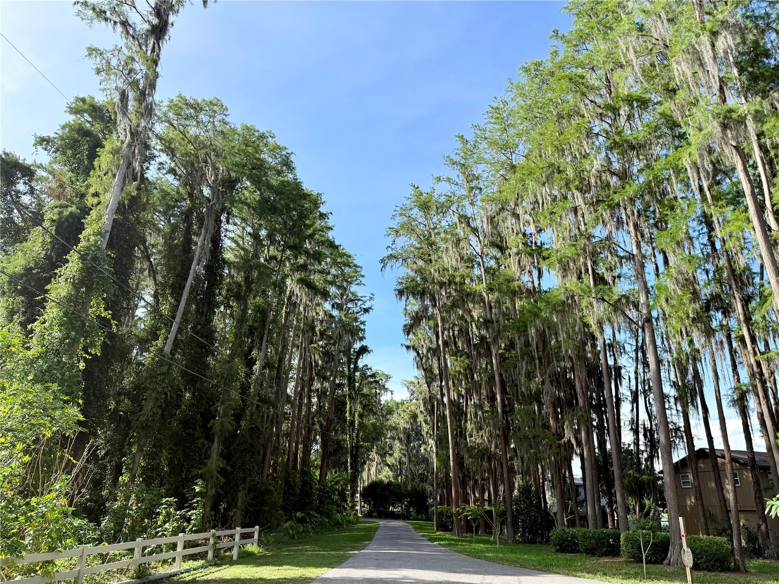 13828 Friendship Lane Odessa FL 33556 TB8515104 image39