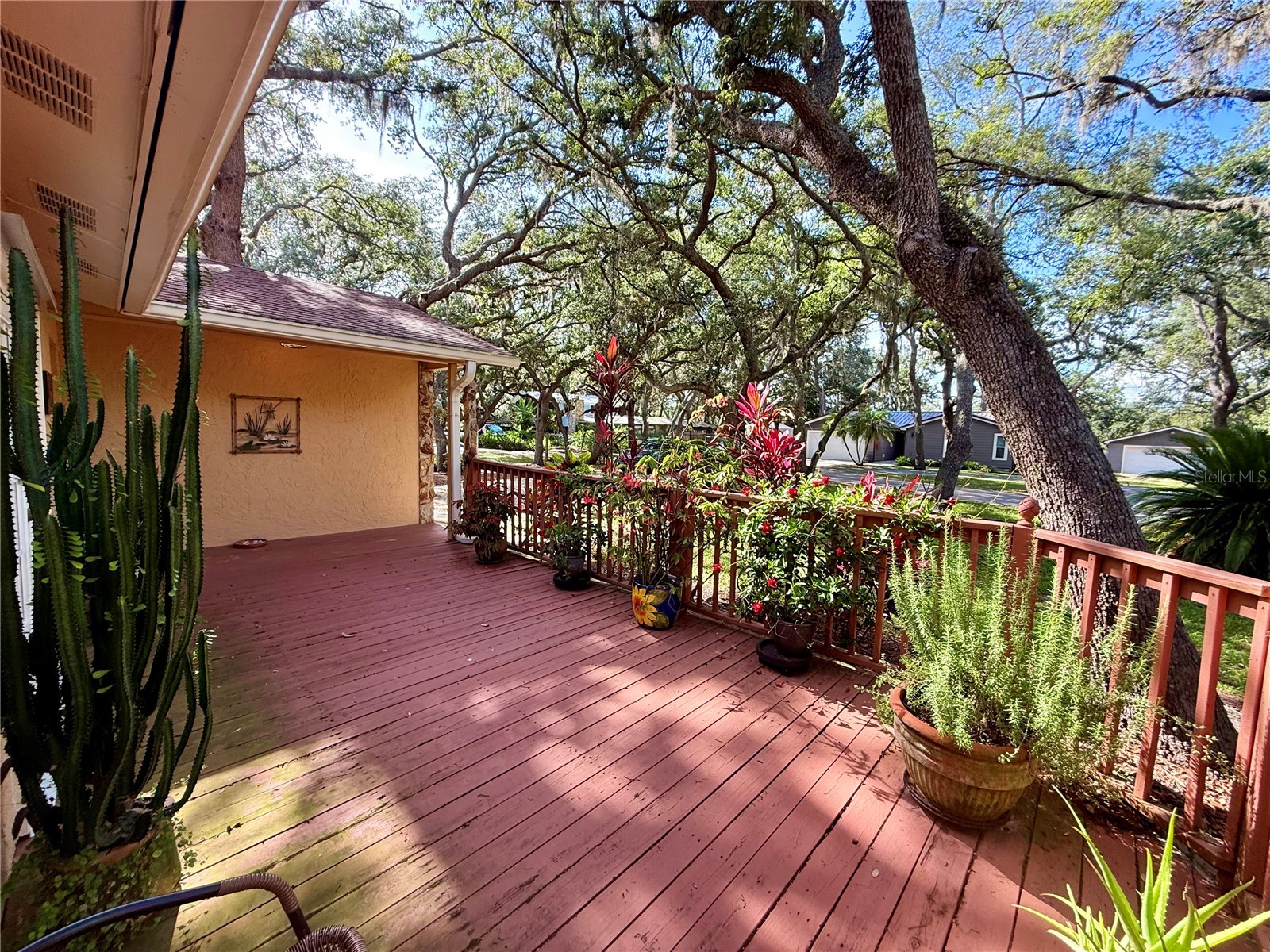 13828 Friendship Lane Odessa FL 33556 TB8515104 image6